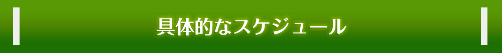 具体的なスケジュール